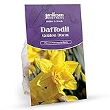 Jamieson Brothers® Golden Ducat Daffodil Bulbs – 15-Pack of Vibrant Yellow Blooms – Ideal for Planting in Gardens, Borders, and Flowerbeds to Create Stunning Spring Displays