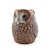 Tawny Owl Jug