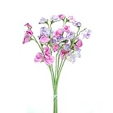 FloristryWarehouse Artificial silk Sweetpea pink & lilac stems Sweet Pea flowers 40cm