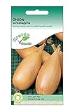 Onion Seeds Shallot Sonkahagyma Allium Cepa 250 Seeds Grow Your Own Vegetable Perfect for Outdoor Growing in Garden or Raised Beds or in Large Pots and Containers