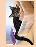Malibu in bed Blank Book Lined 8.5 x 11: 8.5 by 11.5 inch lined blank book suitable as a journal, notebook, or diary with a cover photo of Malibu in ... feline leukemia. (Cats of Ralphie's Retreat)