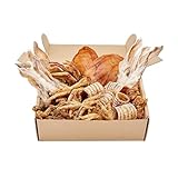 Natural Dog Treat Box, Rabbit, Chicken, Pork, Duck, 50 Pieces