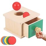 Starvortex Toddlers Montessori Coin Box Toys for 1 2 3 Year Old Boys Girls, Wooden Coin Box Toddler Educational Toys, Color Wooden Shape Sorter Stacking Sensory for Ages 2-4 Birthday Gift
