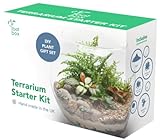 Root box CLEARANCE Organic Plant Terrarium Kit in scented giftbox | Succulents, Bonsai, Fittonia, Cactus | Unique DIY GIFT for XMAS Anniversaries Birthdays