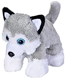 Wild Republic 18085 Husky, Hug'ems, Cuddly Soft Toy, Kids Gifts, 18 cm