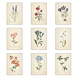 Vintage Flower Wall Art Set of 9 - 8x10 inch Botanical Prints - Antique Floral Illustrations - Retro Garden Artwork - Historical Plant Drawings - Cottage Core Decor - Victorian Flower Posters