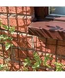 Homebase SAXON CLIMBING PLANT SUPPORTS 8 PACK