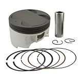 STD ~ +100 83mm~84mm Piston & Piston Ring Kit for AN400 AN 400 DL650 SV650 DR350(83mm(STD))