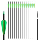 NorthSpoor 14Pcs 30" Archery Carbon Arrows Hunting Arrow for Recurve Bow and Compound Bow Target Practice