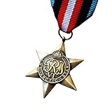 Goldbrothers13 Military Medal Arctic Star British Commonwealth WW2 Arctic Convoy Rare Replica