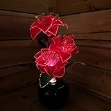 JTF Home & Garden Premier 40cm Red Poinsettas with Fibre Optic Yellow Lights