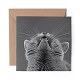 1 x Greeting Card BW - Cute Cat British Blue - Blank Birthday Celebration Anniversary #42544