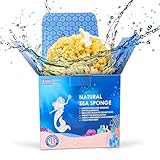 Jordan Benedict Natural Sea Sponge, Unbleached Honeycomb Bath Sponge, Exfoliating Bath Sponges for Adults, Organic Shower Sponges for Women and Men (S, 1 Piece)