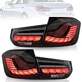 VLAND OLED Tail Lights Compatible with 2013-2018 BMW 3 Series F30 F35 F80 320i 328i 335i Sedan (Not for F31 F34), Rear Lights with Sequential Indicators, E-mark, Smoked