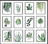 Botanical Wall Art Prints, Set of 12 Framed Green Leaf Watercolour Illustrations, Nature Home Decor
