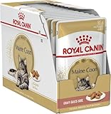 Royal Canin Maine Coon Adult Cat Food 85g x 12