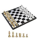KOKOSUN Magnetic Chess Set with Folding Chess Board Gold and Silver Pieces Storage Convenient, Educational Toys/Gift for Kids and Adults (25×25cm)
