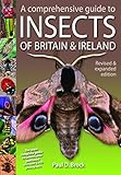 A Comprehensive Guide to Insects of Britain and Ireland