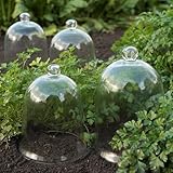 Crocus Collection 27cm Single Domed Glass Bell Cloche for Plant Animal Wind Protection Vintage Style
