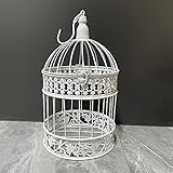 Round Birdcages Vintage Decorative Iron Bird cage Wedding Decor Flower cage Decor Props Hanging Flower Frame Bird cage decorCenterpieces Small Birds Wedding Party Indoor Ourdoor Decoration (White)