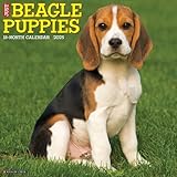 Beagle Puppies 2025 Wall