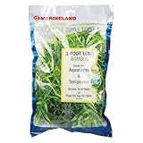 MarineLand Bamboo 3 Feet, Décor For aquariums and Terrariums, Model:47431905481,Green,blue