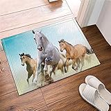 YUEXUANUS Three horses in the treadmill bathroom carpet anti-slip door carpet floor channel entrance interior door indoor carpet children bath mats 40X60CM bathroom accessories