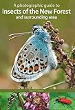 A Photographic Guide to Insects of the New Forest and Surrounding Area