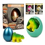 2 PACK HATCHING DINO EGGS - Grows & Hatches in Water, 24hrs Hatchable, Surprise Eggs, Educational Play Set, 5 Assorted Dinosaurs, Ankylosaurus, Triceratops, Stegosaurus, Brachiosaurus, Spinosaurus