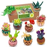 Axmru Needle Felting Kit 9 Pcs Succulent Needle Felting Starter Kit with Felt Tools and Supplies and Instruction for Beginners