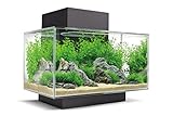 Fluval Edge 2.0 23L Aquarium Gloss Black
