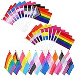 Pride Flag, Pride Accessories Rainbow Party Decorations, 20Pcs Lgbtq Accessories Lesbian Gay Trans Bisexual Flag On Sticks, Handheld Mini Pride Flags for Pride Festival Party Decorations, Parades