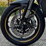 labelbike - Stickers Stripes Motorcycle Rims Wheels 17 Protection Kit Compatible with Triumph Street Triple 765 RS