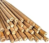 LOIBUYZ Bamboo Canes - Plant Supports for Outdoor Plants – Heavy Duty Professional Bamboo Sticks for Plants, All Lengths 2,3,4,5,6,7 & 8ft Garden Canes, Garden Plant Supports (20, 6ft, 14-16mm)