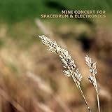 Spacedrum & Electronics (Live)