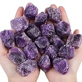 XIANNVXI Amethyst Crystal Stone Natural Raw Amethyst Crystal Rocks Rough Stones 1" Bulk Reiki Healing Gemstones Tumbling Cabbing Fountain Rocks 0.45lb