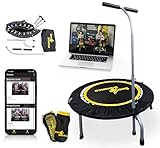 Boogie Bounce Studio Rebounder | Double Folding & Super-Quiet Fitness Trampoline For Adults & Children | New Mobile App & Online Workouts Every Month | Adjustable Handle & 20st Weight Limit