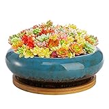 Peohud Succulent Planters Pot, 18cm Glazed Ceramic Bonsai Pots and Tray, Round Shallow Plant Pot with Drainage Hole, Flower Container Pots Garden Decorative Cactus Stand with Bamboo Tray, Blue