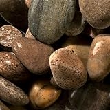 Suregreen Scottish Cobbles 50–75mm | 20kg Bag of Large Decorative Garden Stones, Pebbles & Chippings for Landscaping, Driveways, Rockeries, Ponds & Water Features