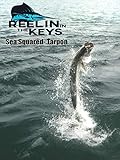 Reelin' In The Keys - Sea Squared Tarpon