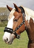 Rhinegold Logo Headcollar fleece trim - Pony - Black