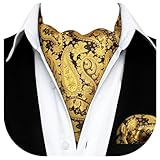 HISDERN Mens Cravat and Pocket Square Set Gold Paisley Cravat for Men Silk Ascot Tie and Handkerchief for Wedding Party Christmas