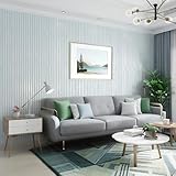 Trafagala Bedroom Wallpaper Duck Egg Blue Wallpaper for Girls Women Boys Adults Living Room TV Backdrop Hallway Hall