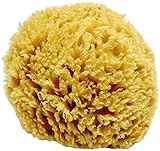 Unbleached Honeycomb Natural Sea Sponge - 100% Natural, Organic, Strong, Durable, Hypoallergenic -for Children and Adults - Used in Bath, Shower, Cleansing, Exfoliating, Art, Pets, Gift (Small)
