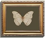 Uniro Vintage Gold Framed Wall Art, Classical Butterfly Oil Paintings, Dark Moody Insect Canvas Prints Artwork with Antique Frame, Sage Green Wall Decor Pictures for Bedroom, Kitchen, Shelf, Bathroom
