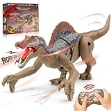 Aooess Toys for 3-8 Year Old Kids Boys: Remote Control Dinosaur Toys for Age 3 4 5 6 7 8 Years Old Kids Presents Toy for Toddler Ages 3-8 Dinosaur Robot Toy RC Birthday Gifts