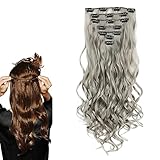 prinfantasy Hair Extension Clip in Silver Grey Long Curly for Women Heat Resistant Synthetic Natural Curly Hair Pieces for Daily Life Party Cosplay, MW097