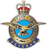 RAF Royal Air Force Veteran Car Sticker - for Exterior or Window (Small (You get 2 Small Stickers))