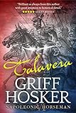 Talavera (Napoleonic Horseman Book 6)