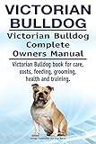 Victorian Bulldog Dog. Victorian Bulldog dog book for costs, care, feeding, grooming, training and health. Victorian Bulldog dog Owners Manual.